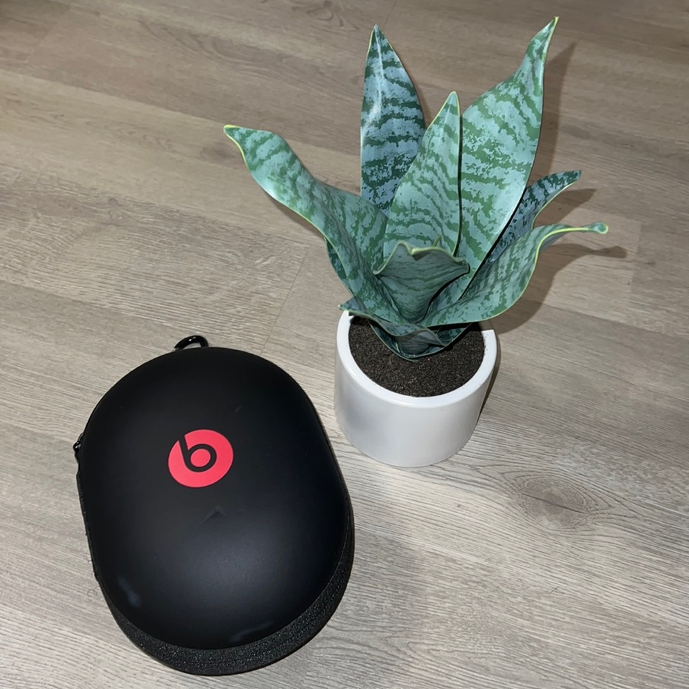 Traveling Case for Headphones Beats by Dre
